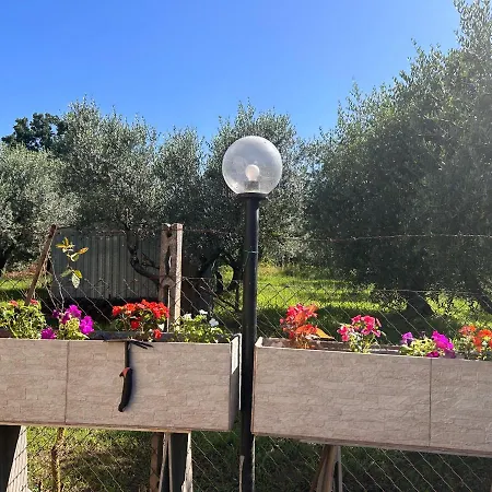 Sigma House. * Paliano